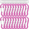 sprookber 2" Small Carabiner Clip, D Ring Caribeener, Spring Snap Hook for Keychain Multipurpose, Set of 20
