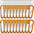 sprookber 2.28" Small Carabiner Clip Keychain, D Ring Caribeaner Clip, Key Clip Caribeener Multipurpose, Set of 20 Pack