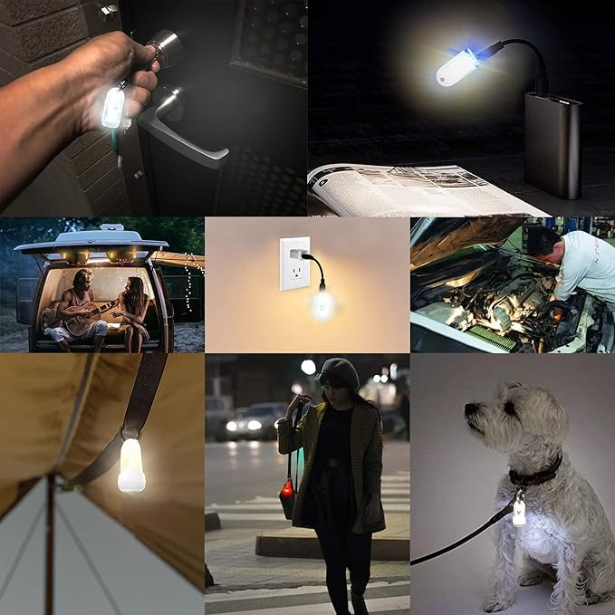 USB Mini LED Lantern, 2 Pack Waterproof EDC Keychain LED Flashlight for Camping, Type-C Rechargeable Battery Small Stick Lamp Puck Dog Collar Torch Light (White Luminous+Red)