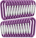 STURME 2" Aluminum D Ring Carabiners Clip D Shape Spring Loaded Gate Small Keychain Carabiner Clip Set Outdoor Camping Mini Lock Snap Hooks Spring Link Key Chain Durable Improved 24 PCS