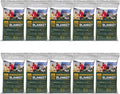 Emergency Survival Blanket, Mylar Thermal Blanket, Gigantic Space Blanket 82" x 63" (10)