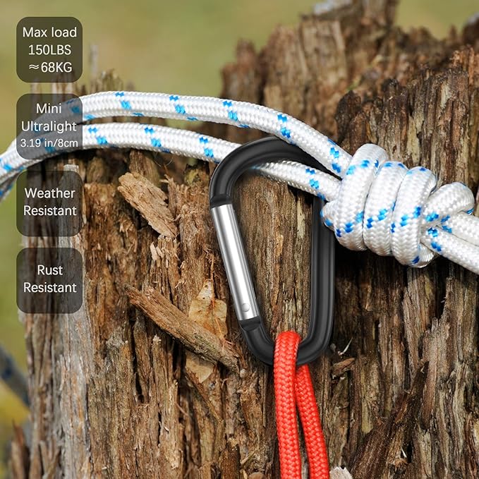 sprookber 3" Aluminum Carabiner D Ring, Caribeener Clips, Spring Snap Hook for Keychain Clip, Set of 10