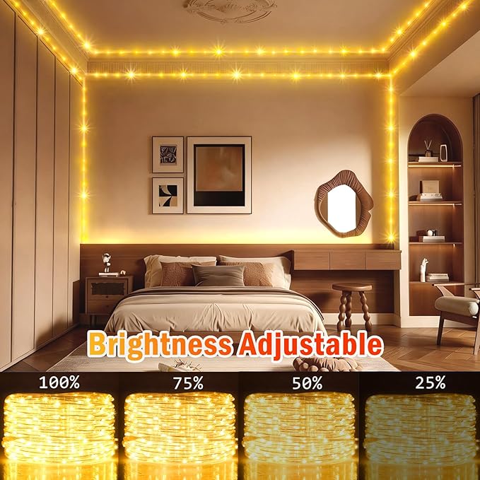 KNONEW 164FT 1000LED Rope Lights for Outside,Outdoor String Lights Waterproof 8 Modes Clear Tube Light for Indoor,Bedroom,Wedding,Garden,Patio,Christmas,Tree,Rv,Holiday Decoration(Warm White)