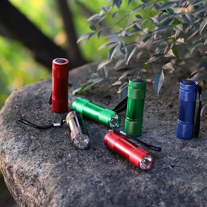 FASTPRO 20-Pack Aluminum 6-LED Flashlights Set with Lanyard and AAA Batteries Included and Pre-Installed