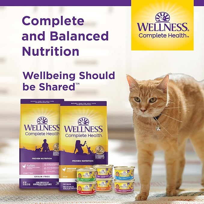 Wellness Complete Health Kitten Dry Cat Food, Natural, Grain Free Kibble, Chicken Recipe, 5.5 lb Bag