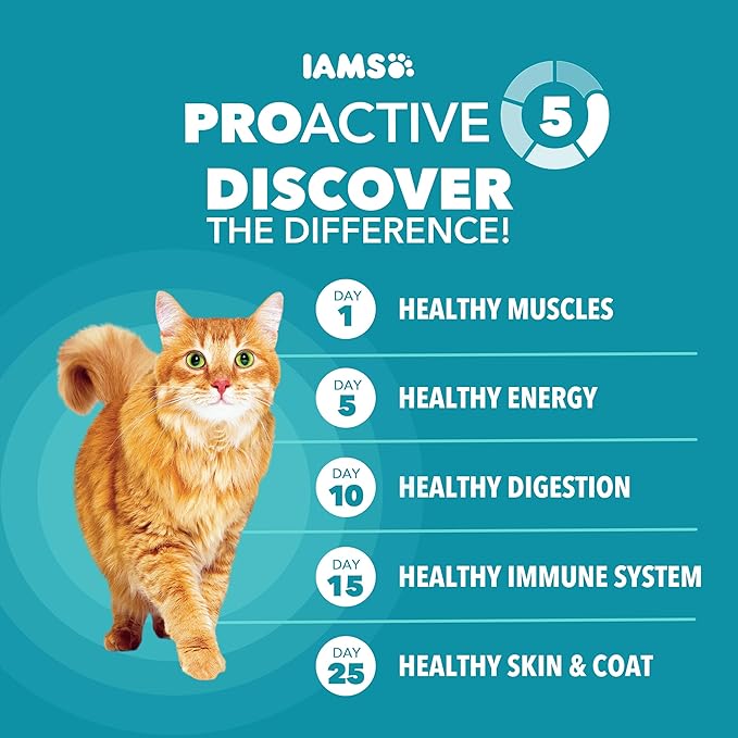 IAMS Proactive Health Dry Cat Food, Indoor Weight and Hairball Care Cat Food Dry Recipe, with Salmon, 16 lb. Bag