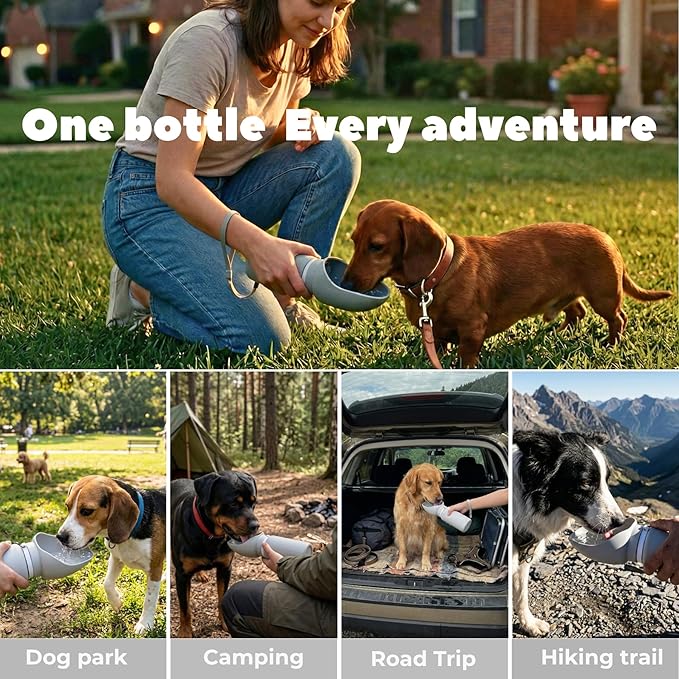BICYSTAR Collapsible Water Bottle for Dogs, Foldable Leak-Resistant w/Drain-Back, Pet Travel Bowl, 18.6oz for Walks, Hiking & Road Trips