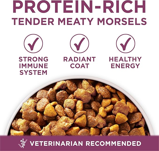 Purina ONE Plus Healthy Puppy Formula High Protein Natural Dry Puppy Food with added vitamins, minerals and nutrients - 16.5 lb. Bag