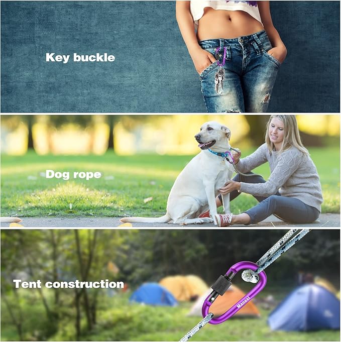 10 Pack Aluminum D Ring Key Rings Clips Locking Carabiner for Camping Fishing and Outdoor Use，Clips with Screw Gate Multicolored