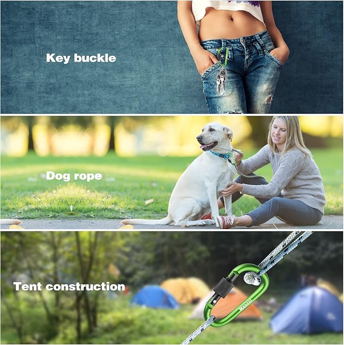 10 Pack Aluminum D Ring Key Rings Clips Locking Carabiner for Camping Fishing and Outdoor Use，Clips with Screw Gate Multicolored