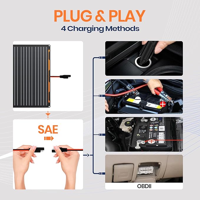 FlexSolar 20W 12V Solar Panel Battery Charger Maintainer Kits Trickle Charger with Built-in Charge Controller, Cigarette Lighter, Alligator Clips, O-Rings OBDII Connector for Car, Truck,Tractor, Boat