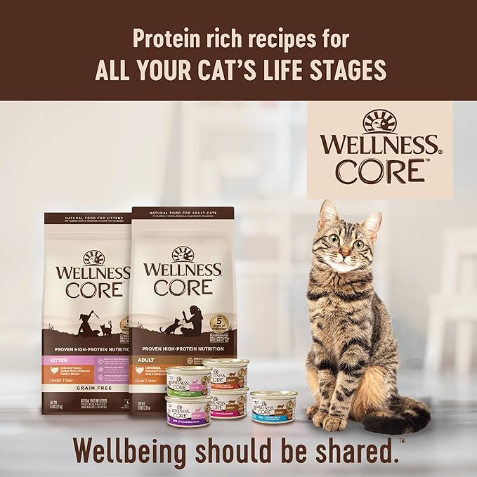 Wellness CORE Kitten Dry Cat Food, Natural, Grain Free Kibble, Turkey Meal and Chicken Recipe, 5 lb Bag