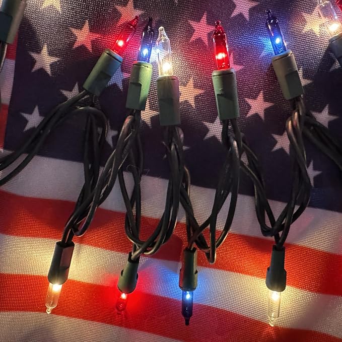 HISHINY Red White Blue 4th of July Patriotic Decorations Lights 100 Count Mini String Lights with Green Wire for Outdoor Indoor Christmas,Holiday,Party, Independence Day Decor,UL Certified (21feet)