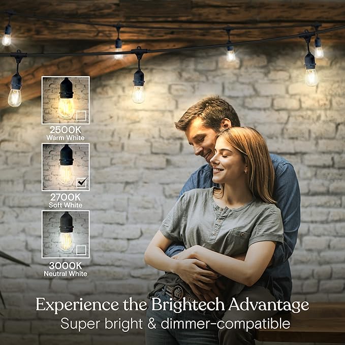 Brightech Ambience Pro - Waterproof LED Outdoor String Lights - Hanging, Dimmable 2W Vintage Edison Bulbs - 48 Ft Commercial Grade Patio Lights Create Cafe Ambience In Your Backyard