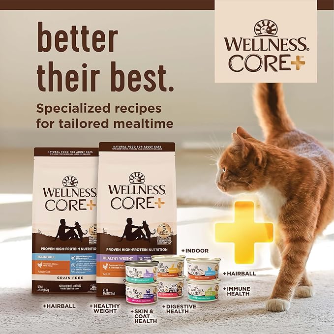 Wellness CORE+ Adult Dry Cat Food for Indoor Cats, Natural, Grain Free Kibble, Chicken, Turkey and Chicken Meal Recipe, 5 lb Bag