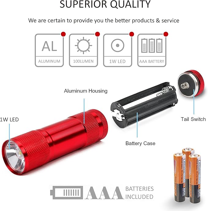 FASTPRO 20-Pack 100 Lumen Super Bright Aluminum LED Flashlights Set, with AAA Dry Batteries Included and Pre-Installed
