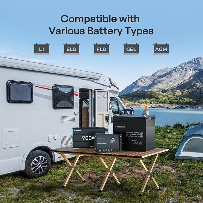 Renogy 200 Watt 12V Complete Solar Panel Starter Kit: 2pcs 100W Solar Panel + 30A Charge Controller + 100Ah Lithium Battery + 600W Premium Solar Inverter for RV Off Grid with Battery and Inverter