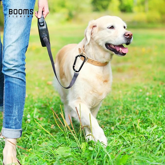 Booms Fishing CC2 Carabiner Clip, 2.3" Small Carabiner Keychain, Multi-use Aluminium D Ring Caribeener Clips