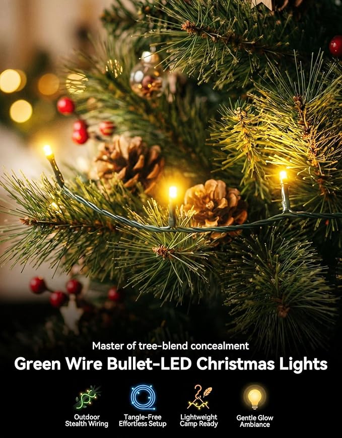 LitHome 99FT 300 LED String Lights Outdoor Indoor, 8 Modes Waterproof Christmas String Lights with Timer & Memory Function, Outdoor Christmas Lights Green Wire for Xmas Tree Party Garden, Warm White