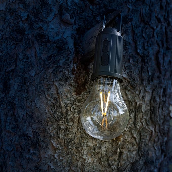Rechargeable Camp Light, Warm White LED Globe Bulb, Battery Powered with USB-C, Shatterproof Globe on Carabiner, 3 Brightness Levels