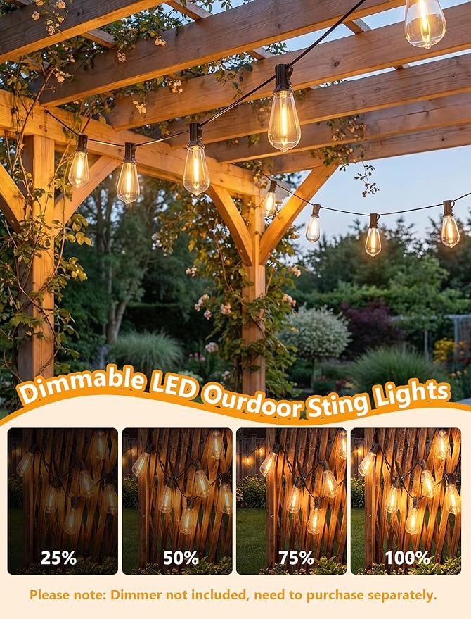 20FT LED Outdoor String Lights,Edison Lights Outdoor String with 22 Shatterproof ST40 Vintage Edison Bulbs,Outside Lights Waterproof for Outside Backyard Porch,Garden,Black