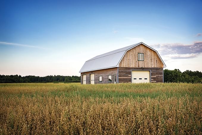 Lithonia Lighting BarnGuard LED Barn Light, Dusk to Dawn Outdoor Lighting with Adjustable Color Temperature, Wall or Pole Mountable Yard Light Fixture, MVOLT, Aluminum, Dark Bronze
