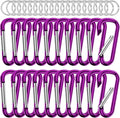 sprookber 2.28" Small Carabiner Clip Keychain, D Ring Caribeaner Clip, Key Clip Caribeener Multipurpose, Set of 20 Pack