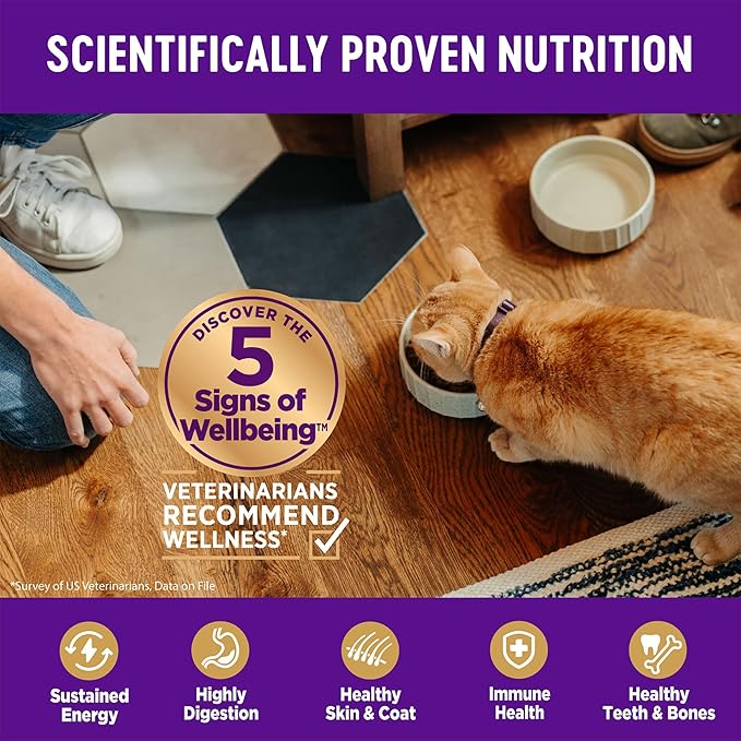 Wellness Complete Health Adult Dry Cat Food, Natural, Grain Free Kibble, Chicken Recipe, 11.5 lb Bag