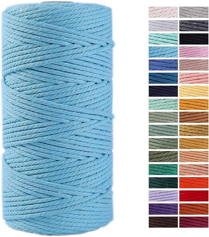 Sky Blue Macrame Cord 3mm x 109Yards,Colored Cotton Rope Craft Cord Colorful Cotton Cord Twine for Wall Hanging Plant Hangers Crafts Knitting Decorative Projects