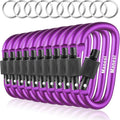 10 Pack Aluminum D Ring Key Rings Clips Locking Carabiner for Camping Fishing and Outdoor Use，Clips with Screw Gate Multicolored