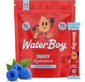 Waterboy Daily Hydration | 1,570mg Electrolyte Powder Packets | No Sugar, All Natural, Gluten Free, Zero Calories | 15 Drink Stick Mixes (Blue Raspberry)