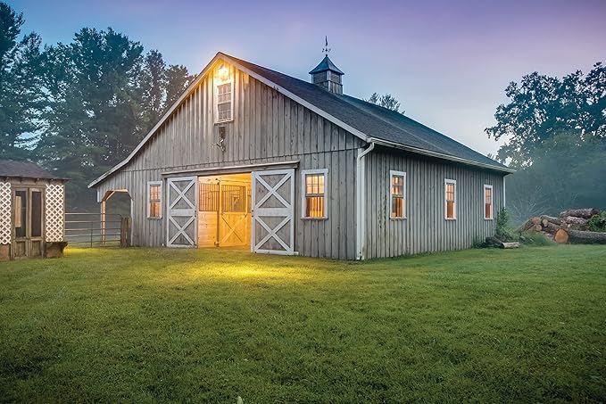 Lithonia Lighting BarnGuard LED Barn Light, Dusk to Dawn Outdoor Lighting with Adjustable Brightness and Color Temperature, Wall or Pole Mountable Yard Light Fixture, MVOLT, Aluminum, Gray