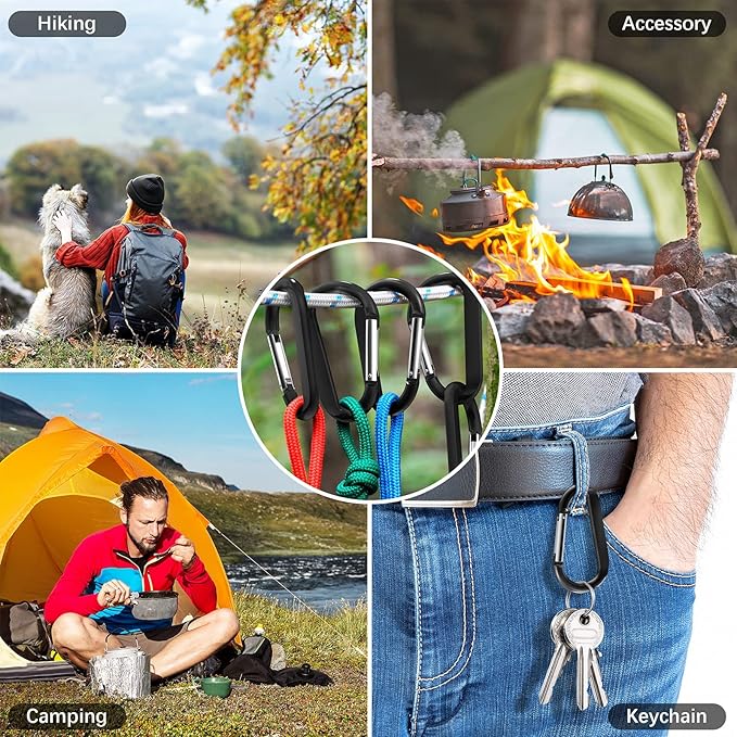 sprookber 3" Carabiner Clip Keychain, D Ring Caribeaner Clip, Key Clip Caribeener, Spring Snap Hook for Bag/Buckle, Set of 10