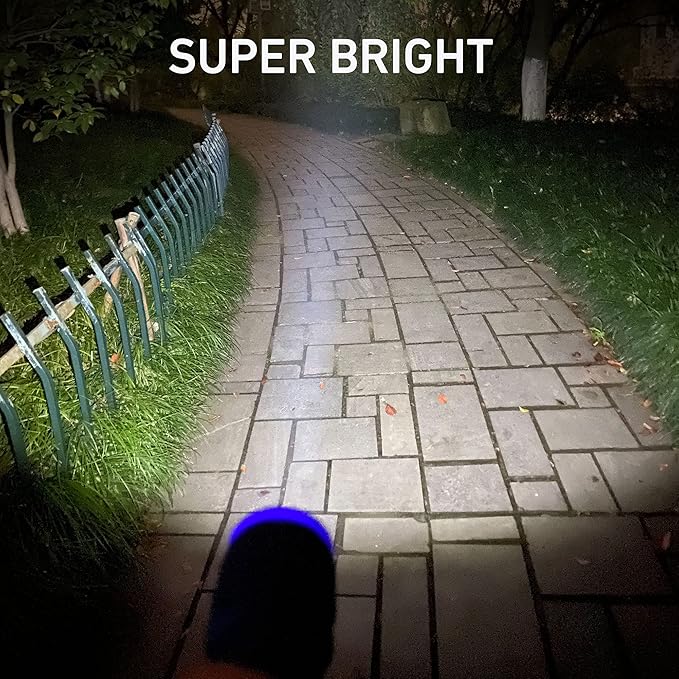6-Pack Small Flashlights Set, Super Bright 100 Lumen LED Flashlight Pack with 18-Piece AAA Batteries Included, Mini Flashlight, Outdoor Flashlight for Camping, Hiking, Emergency