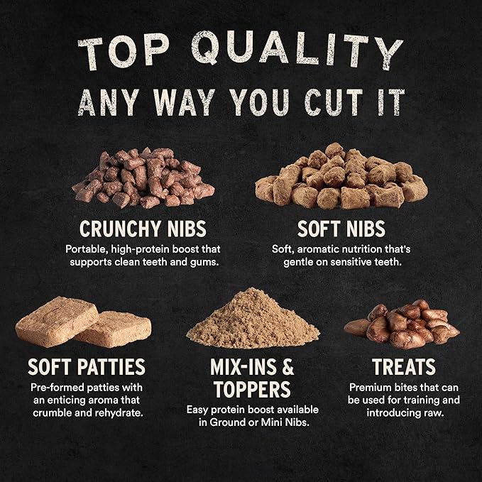 Vital Essentials Freeze Dried Cat Treats | Salmon Bites, Single Protein | Premium Quality | Grain Free, Crunchy Cat Treats, 1.1 oz Bag