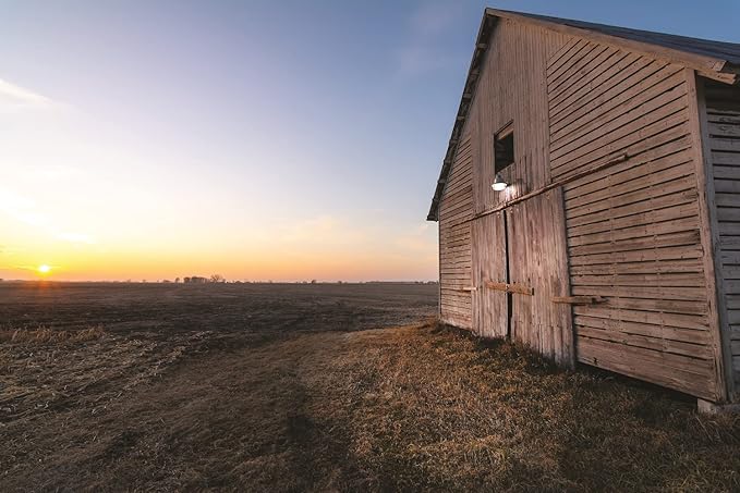 Lithonia Lighting BarnGuard LED Barn Light, Dusk to Dawn Outdoor Lighting with Adjustable Brightness and Color Temperature, Wall or Pole Mountable Yard Light Fixture, MVOLT, Aluminum, Gray